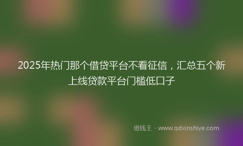 2025年热门那个借贷平台不看征信,汇总五个新上线贷款平台门槛低口子