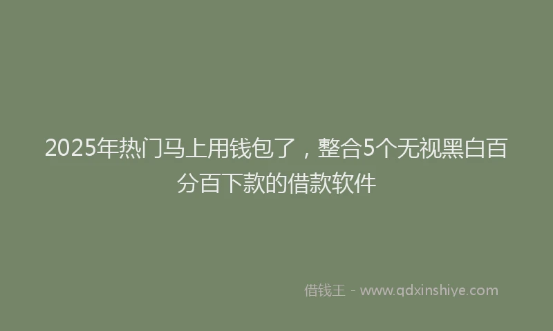 2025年热门马上用钱包了,整合5个无视黑白百分百下款的借款软件
