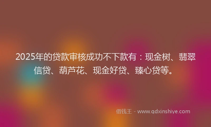 2025年的贷款审核成功不下款有:现金树、翡翠信贷、葫芦花、现金好贷、臻心贷等。