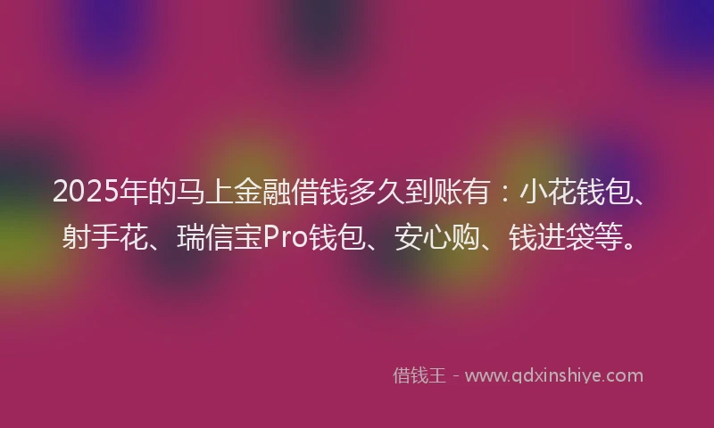 2025年的马上金融借钱多久到账有：小花钱包、射手花、瑞信宝Pro钱包、安心购、钱进袋等。