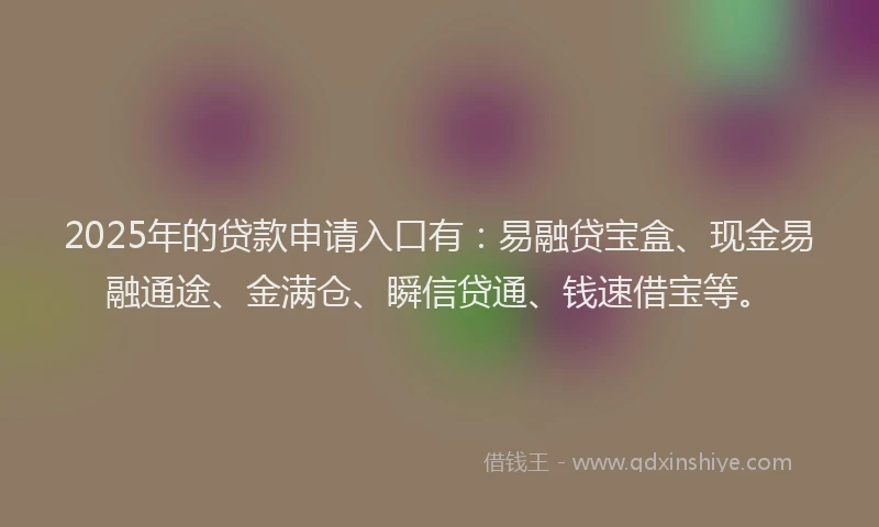 2025年的贷款申请入口有:易融贷宝盒、现金易融通途、金满仓、瞬信贷通、钱速借宝等。