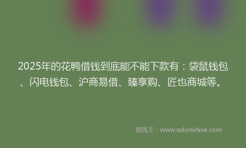 2025年的花鸭借钱到底能不能下款有：袋鼠钱包、闪电钱包、沪商易借、臻享购、匠也商城等。