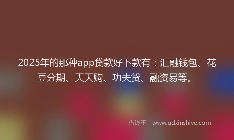 2025年的那种app贷款好下款有:汇融钱包、花豆分期、天天购、功夫贷、融资易等。