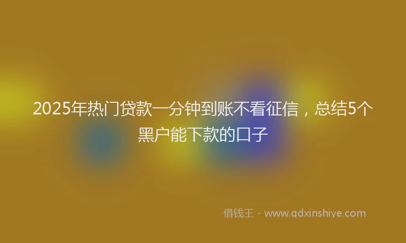 2025年热门贷款一分钟到账不看征信，总结5个黑户能下款的口子