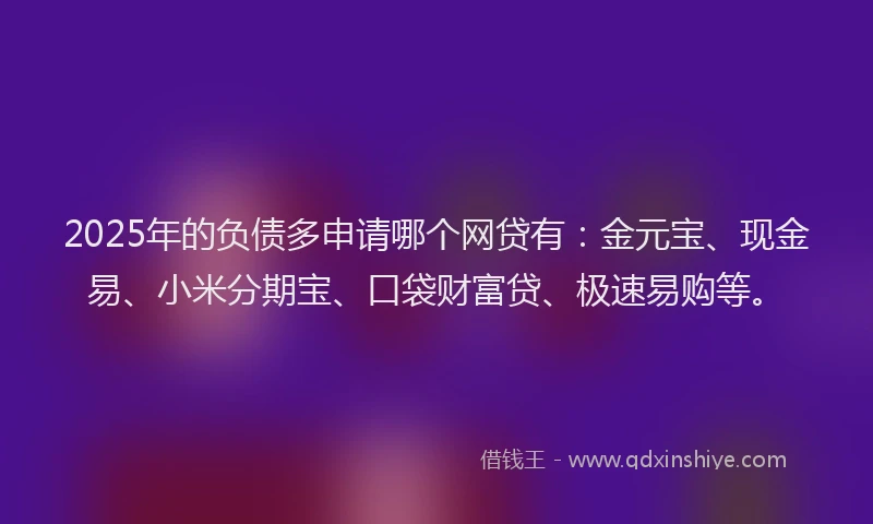 2025年的负债多申请哪个网贷有：金元宝、现金易、小米分期宝、口袋财富贷、极速易购等。