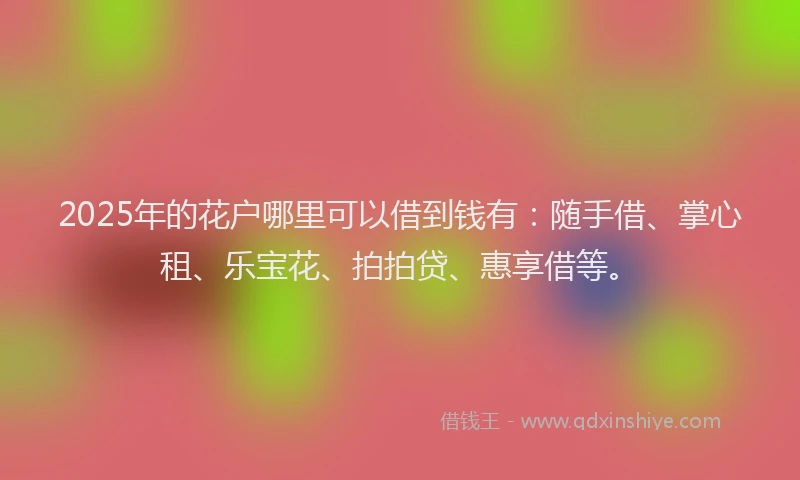 2025年的花户哪里可以借到钱有：随手借、掌心租、乐宝花、拍拍贷、惠享借等。