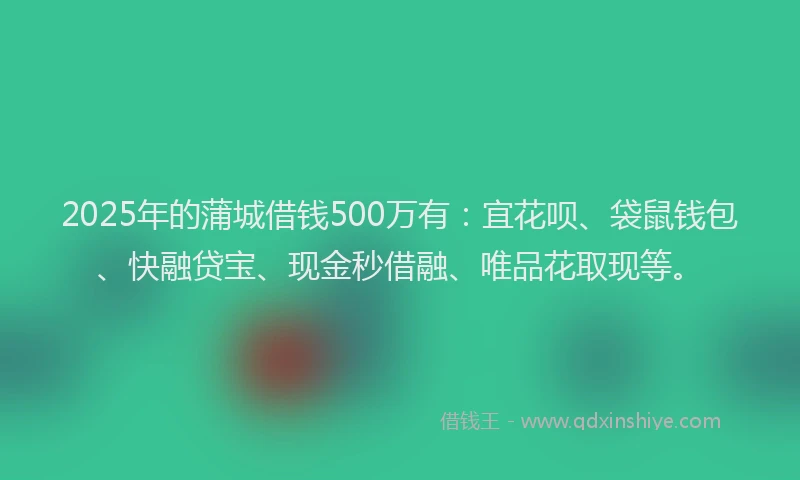 2025年的蒲城借钱500万有：宜花呗、袋鼠钱包、快融贷宝、现金秒借融、唯品花取现等。