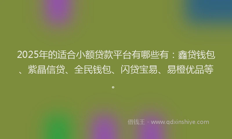 2025年的适合小额贷款平台有哪些有:鑫贷钱包、紫晶信贷、全民钱包、闪贷宝易、易橙优品等。