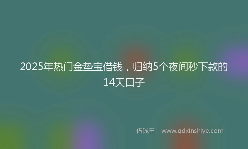 2025年热门金垫宝借钱，归纳5个夜间秒下款的14天口子