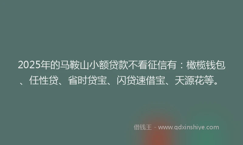 2025年的马鞍山小额贷款不看征信有:橄榄钱包、任性贷、省时贷宝、闪贷速借宝、天源花等。