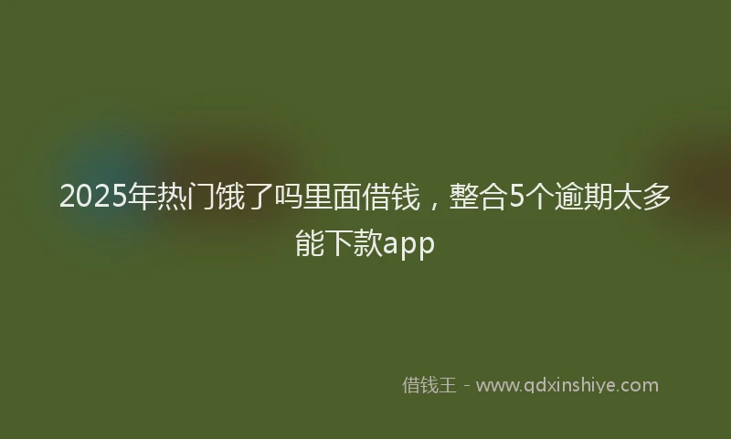 2025年热门饿了吗里面借钱，整合5个逾期太多能下款app