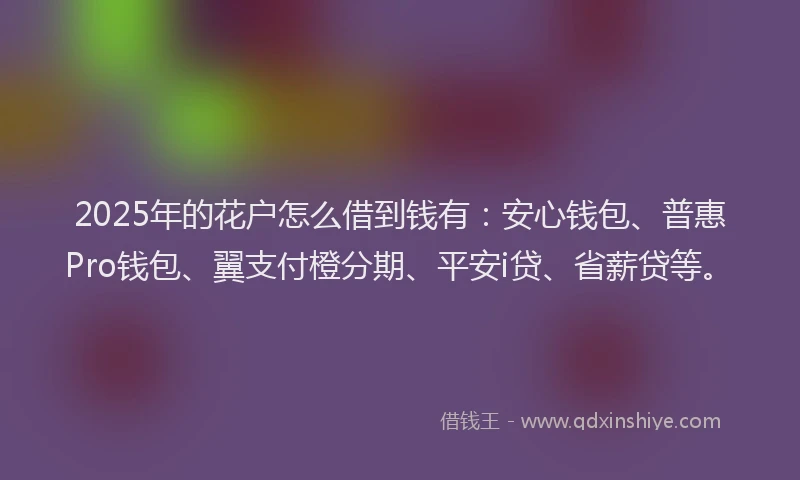 2025年的花户怎么借到钱有：安心钱包、普惠Pro钱包、翼支付橙分期、平安i贷、省薪贷等。