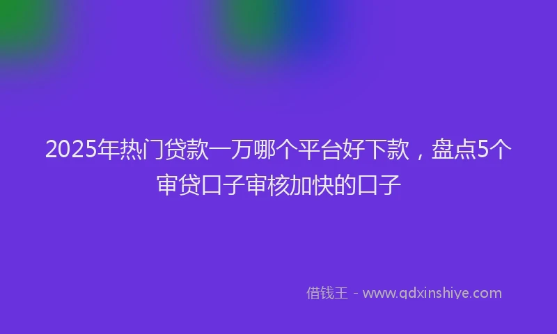 2025年热门贷款一万哪个平台好下款，盘点5个审贷口子审核加快的口子