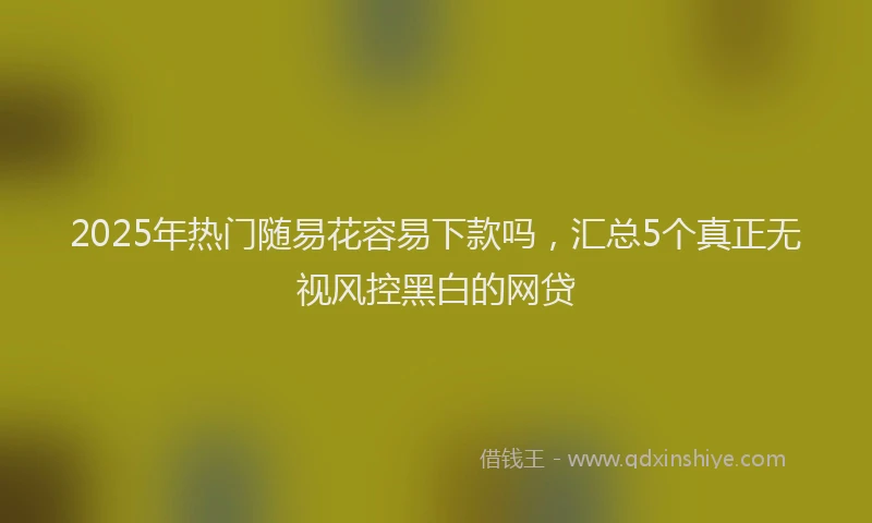 2025年热门随易花容易下款吗,汇总5个真正无视风控黑白的网贷