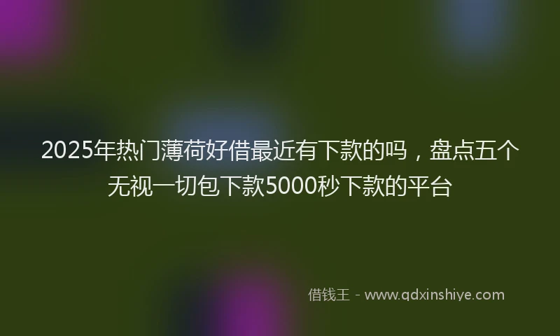 2025年热门薄荷好借最近有下款的吗，盘点五个无视一切包下款5000秒下款的平台