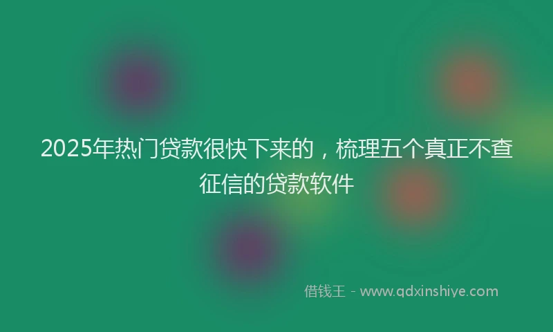 2025年热门贷款很快下来的,梳理五个真正不查征信的贷款软件