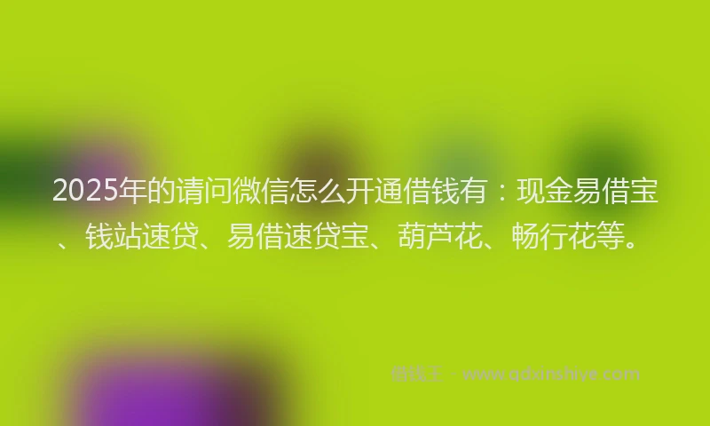 2025年的请问微信怎么开通借钱有：现金易借宝、钱站速贷、易借速贷宝、葫芦花、畅行花等。