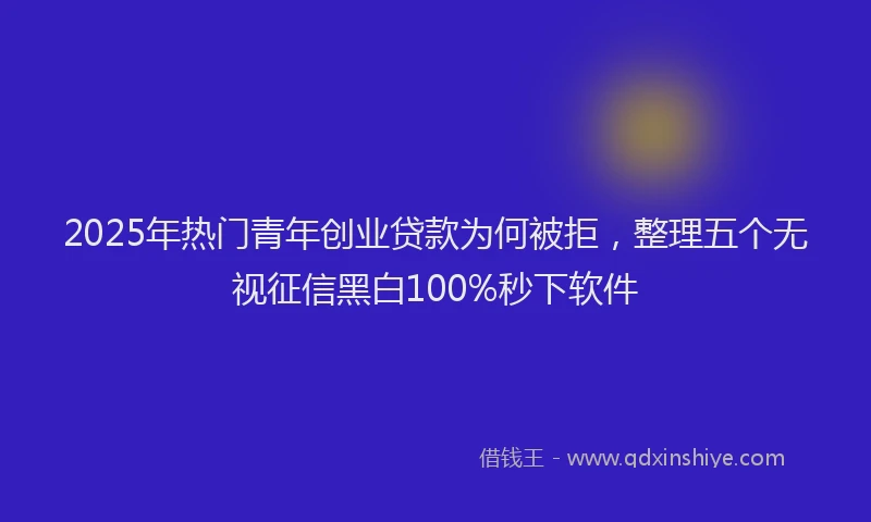 2025年热门青年创业贷款为何被拒，整理五个无视征信黑白100%秒下软件