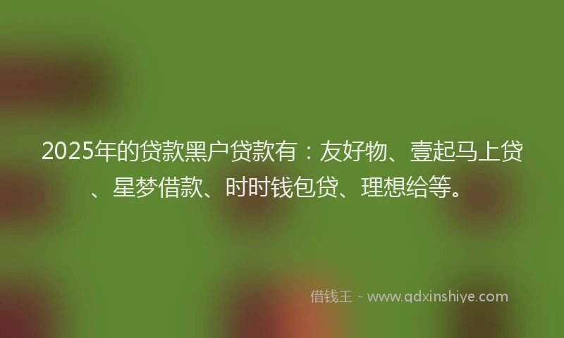2025年的贷款黑户贷款有:友好物、壹起马上贷、星梦借款、时时钱包贷、理想给等。