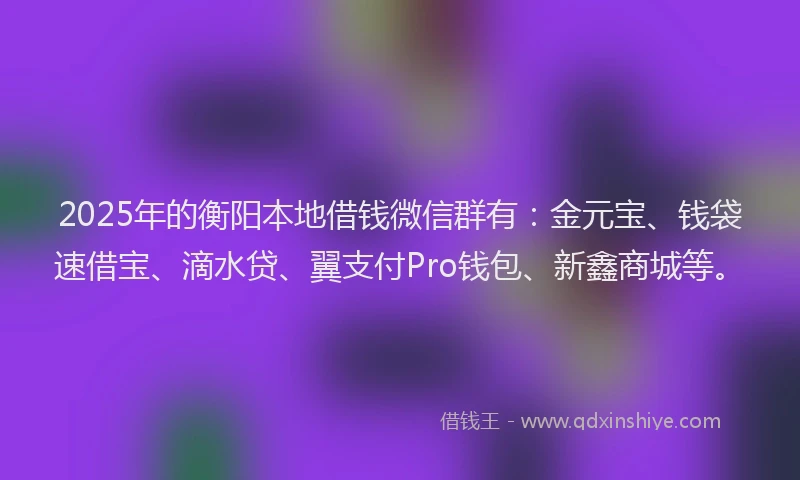 2025年的衡阳本地借钱微信群有:金元宝、钱袋速借宝、滴水贷、翼支付Pro钱包、新鑫商城等。