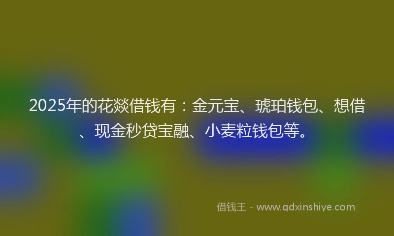 2025年的花燚借钱有:金元宝、琥珀钱包、想借、现金秒贷宝融、小麦粒钱包等。