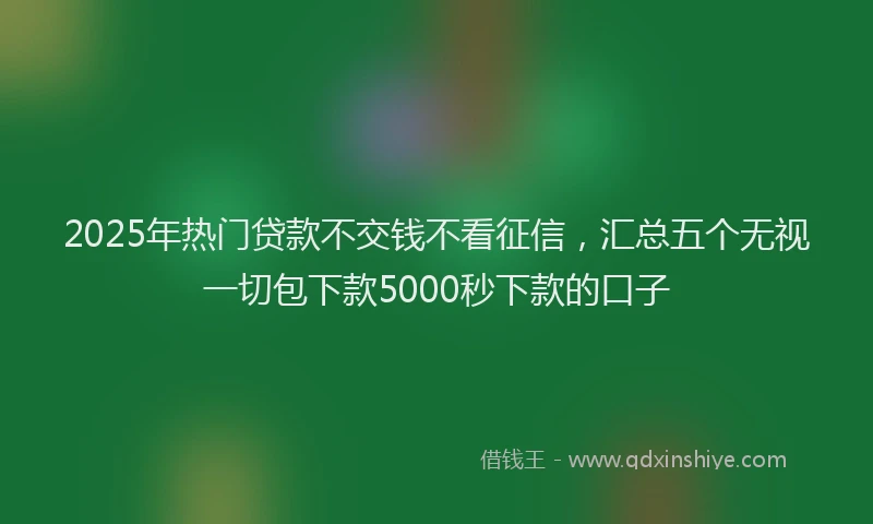 2025年热门贷款不交钱不看征信,汇总五个无视一切包下款5000秒下款的口子