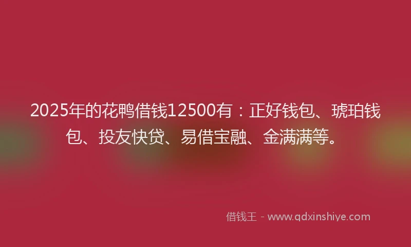 2025年的花鸭借钱12500有：正好钱包、琥珀钱包、投友快贷、易借宝融、金满满等。