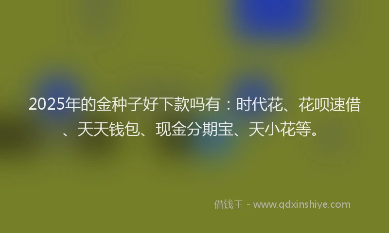 2025年的金种子好下款吗有：时代花、花呗速借、天天钱包、现金分期宝、天小花等。