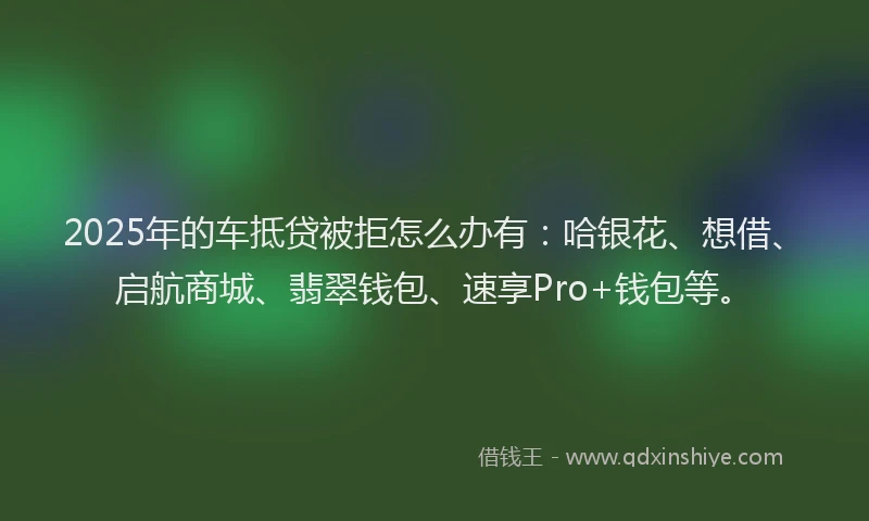 2025年的车抵贷被拒怎么办有:哈银花、想借、启航商城、翡翠钱包、速享Pro+钱包等。