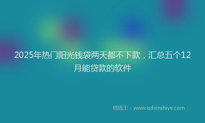 2025年热门阳光钱袋两天都不下款，汇总五个12月能贷款的软件