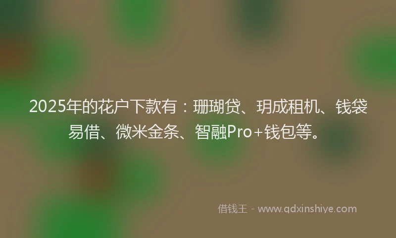 2025年的花户下款有：珊瑚贷、玥成租机、钱袋易借、微米金条、智融Pro+钱包等。