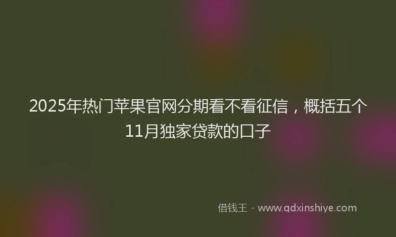 2025年热门苹果官网分期看不看征信，概括五个11月独家贷款的口子