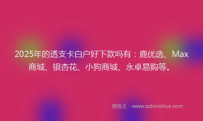2025年的透支卡白户好下款吗有:鹿优选、Max商城、银杏花、小狗商城、永卓易购等。