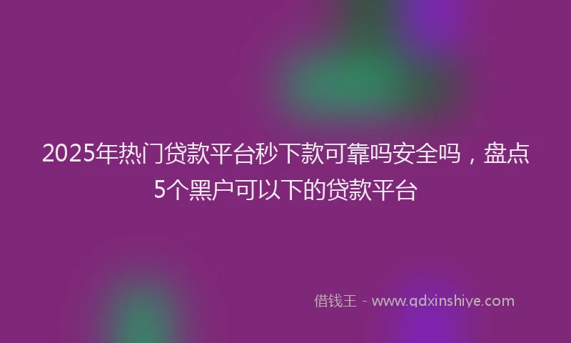 2025年热门贷款平台秒下款可靠吗安全吗,盘点5个黑户可以下的贷款平台