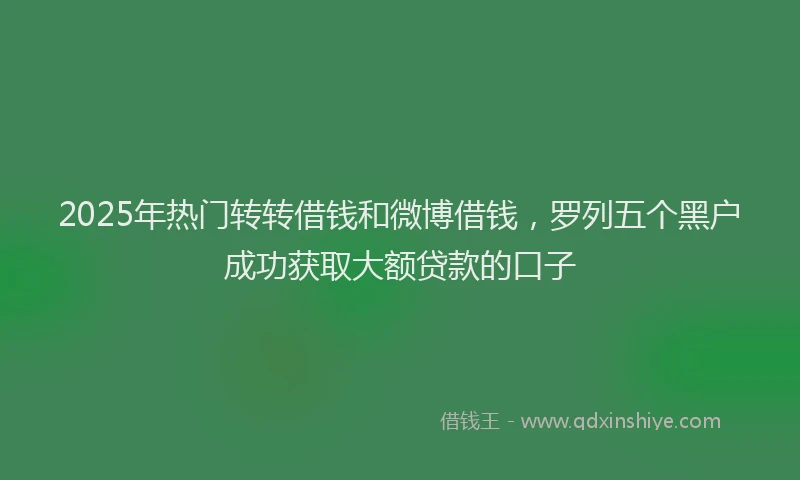 2025年热门转转借钱和微博借钱,罗列五个黑户成功获取大额贷款的口子