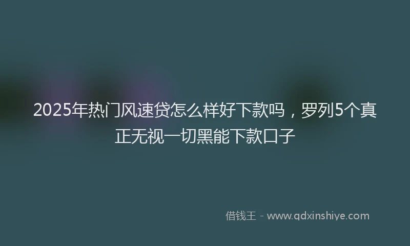 2025年热门风速贷怎么样好下款吗，罗列5个真正无视一切黑能下款口子
