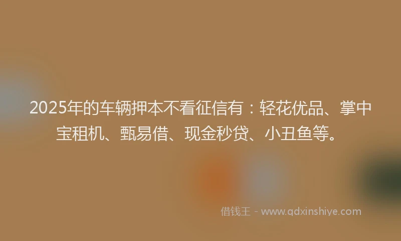 2025年的车辆押本不看征信有：轻花优品、掌中宝租机、甄易借、现金秒贷、小丑鱼等。