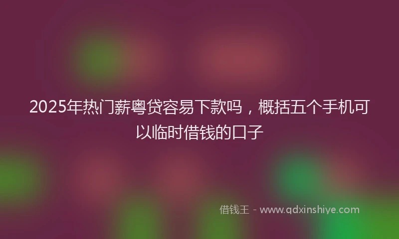 2025年热门薪粤贷容易下款吗，概括五个手机可以临时借钱的口子