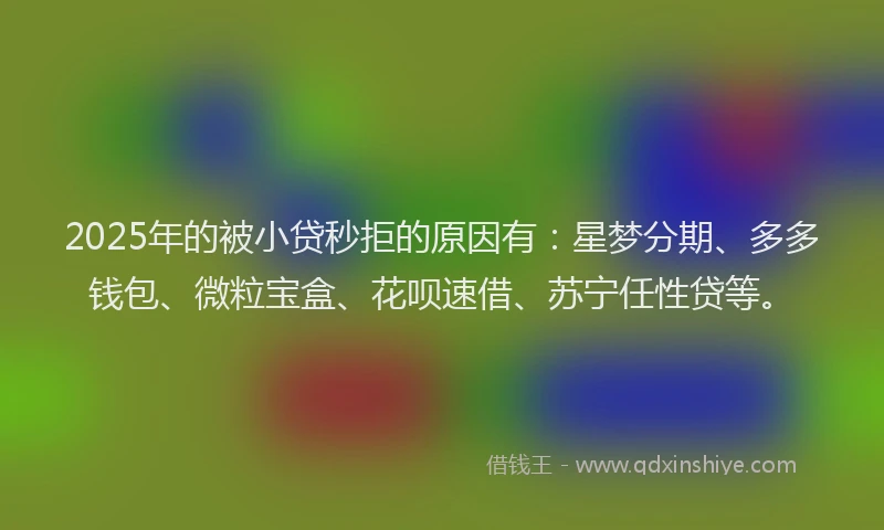 2025年的被小贷秒拒的原因有：星梦分期、多多钱包、微粒宝盒、花呗速借、苏宁任性贷等。