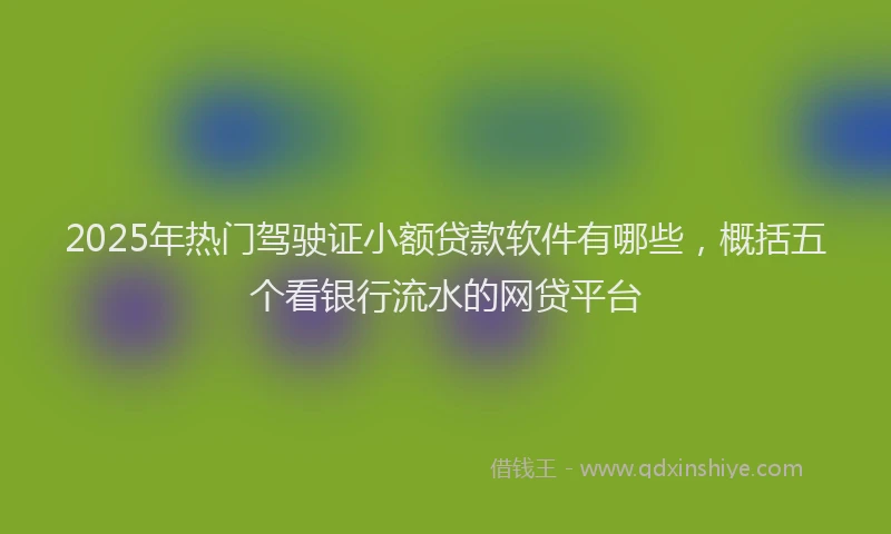2025年热门驾驶证小额贷款软件有哪些，概括五个看银行流水的网贷平台