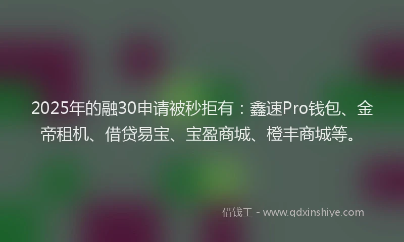 2025年的融30申请被秒拒有：鑫速Pro钱包、金帝租机、借贷易宝、宝盈商城、橙丰商城等。