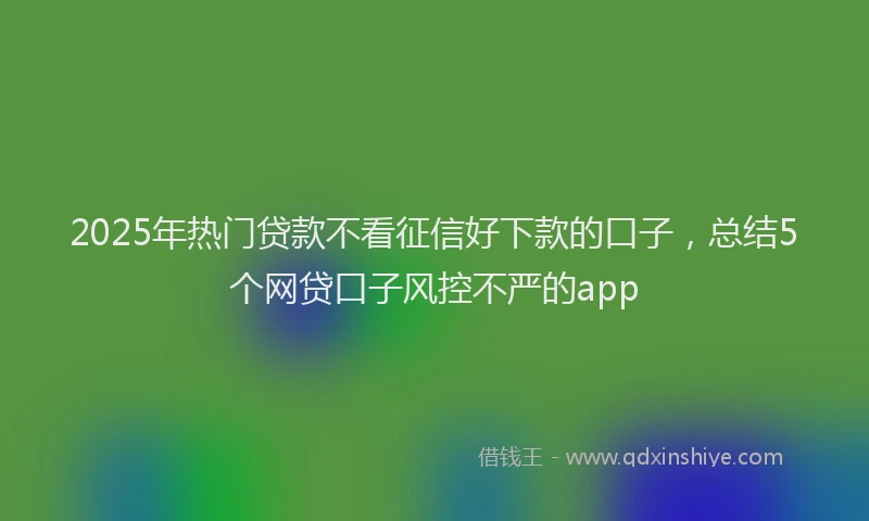 2025年热门贷款不看征信好下款的口子,总结5个网贷口子风控不严的app