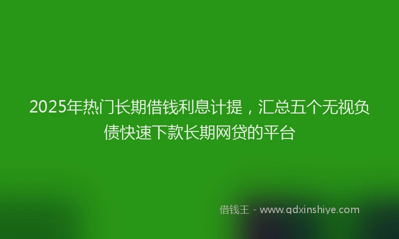 2025年热门长期借钱利息计提,汇总五个无视负债快速下款长期网贷的平台