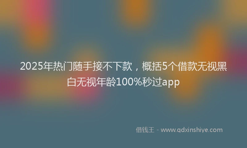 2025年热门随手接不下款,概括5个借款无视黑白无视年龄100%秒过app