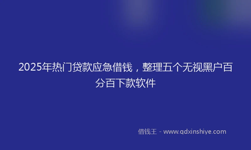 2025年热门贷款应急借钱,整理五个无视黑户百分百下款软件