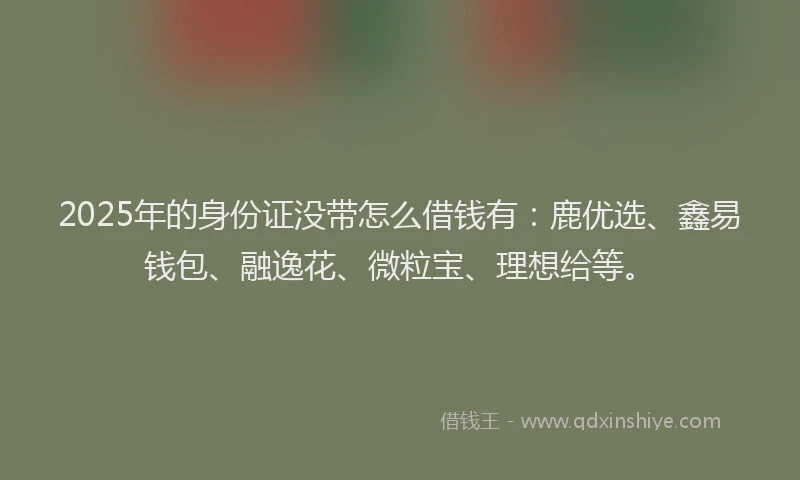 2025年的身份证没带怎么借钱有：鹿优选、鑫易钱包、融逸花、微粒宝、理想给等。