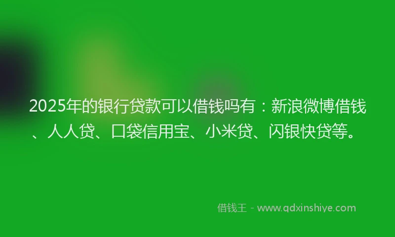 2025年的银行贷款可以借钱吗有：新浪微博借钱、人人贷、口袋信用宝、小米贷、闪银快贷等。
