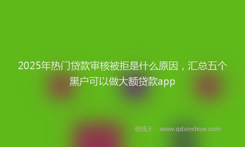 2025年热门贷款审核被拒是什么原因,汇总五个黑户可以做大额贷款app
