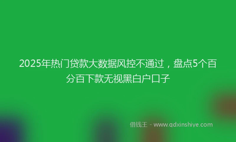 2025年热门贷款大数据风控不通过,盘点5个百分百下款无视黑白户口子