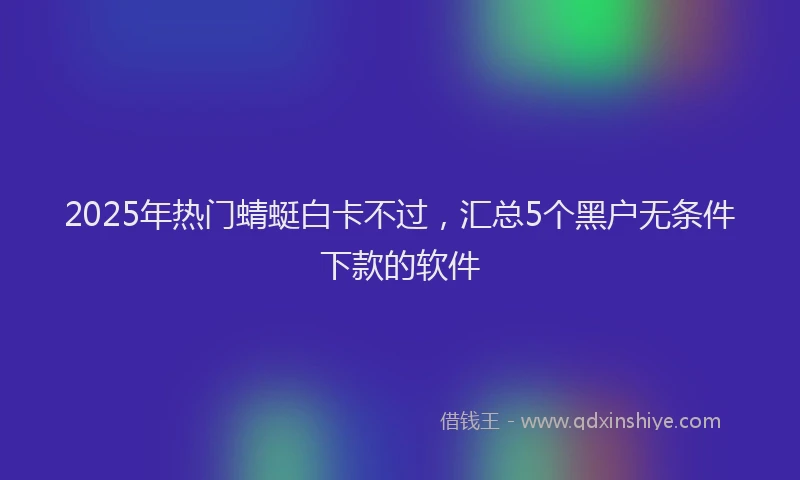 2025年热门蜻蜓白卡不过，汇总5个黑户无条件下款的软件